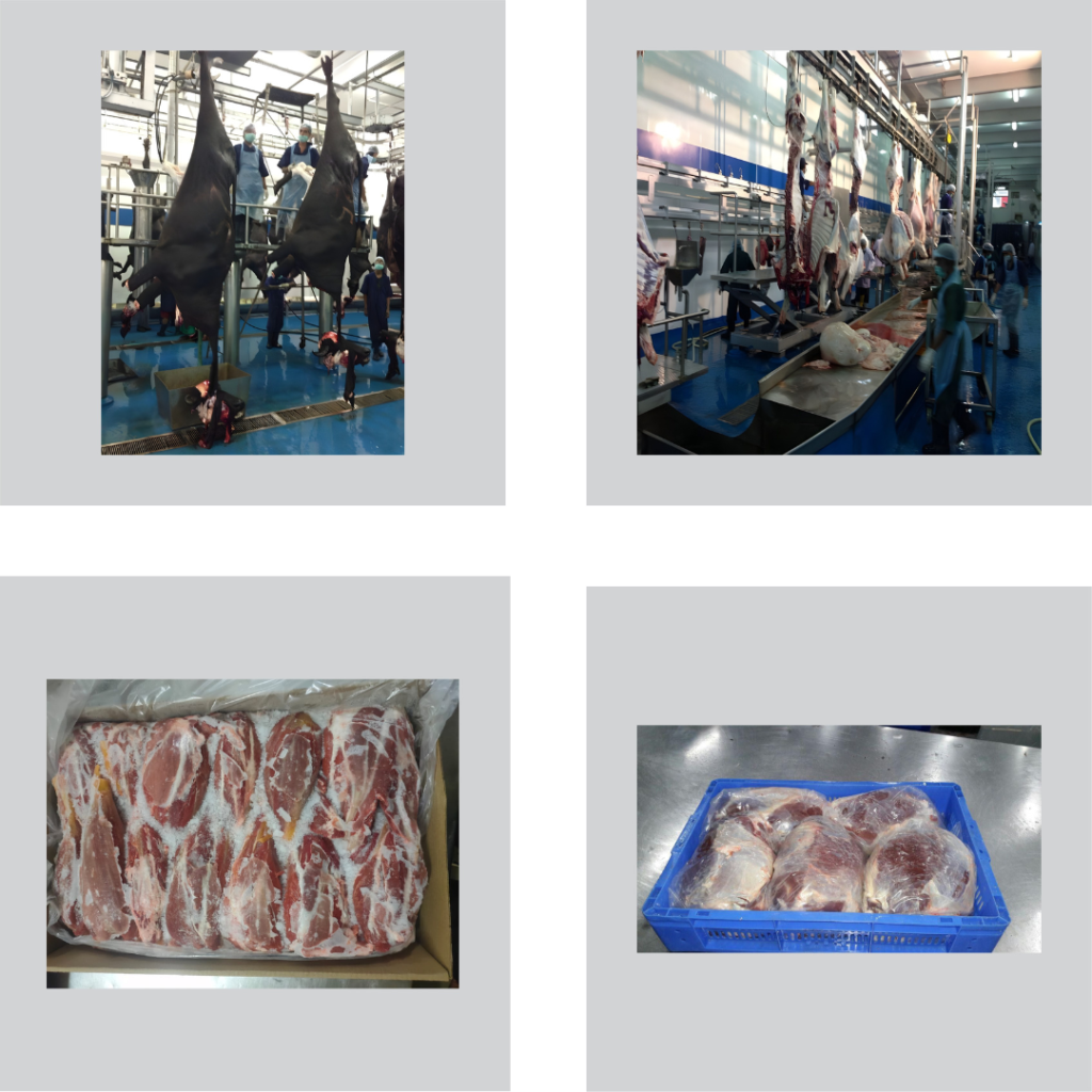 Untitled design (14)