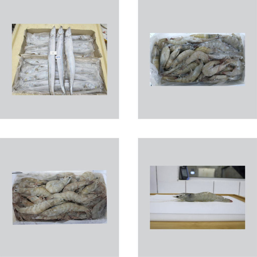 Untitled design (15)