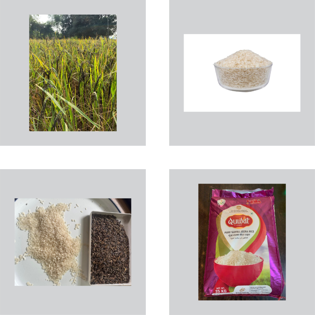 Untitled design (16)